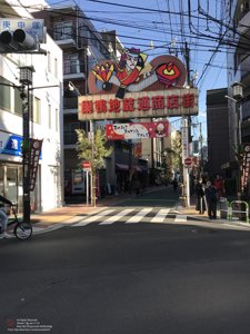 20180111144348_iPhone 7.jpg